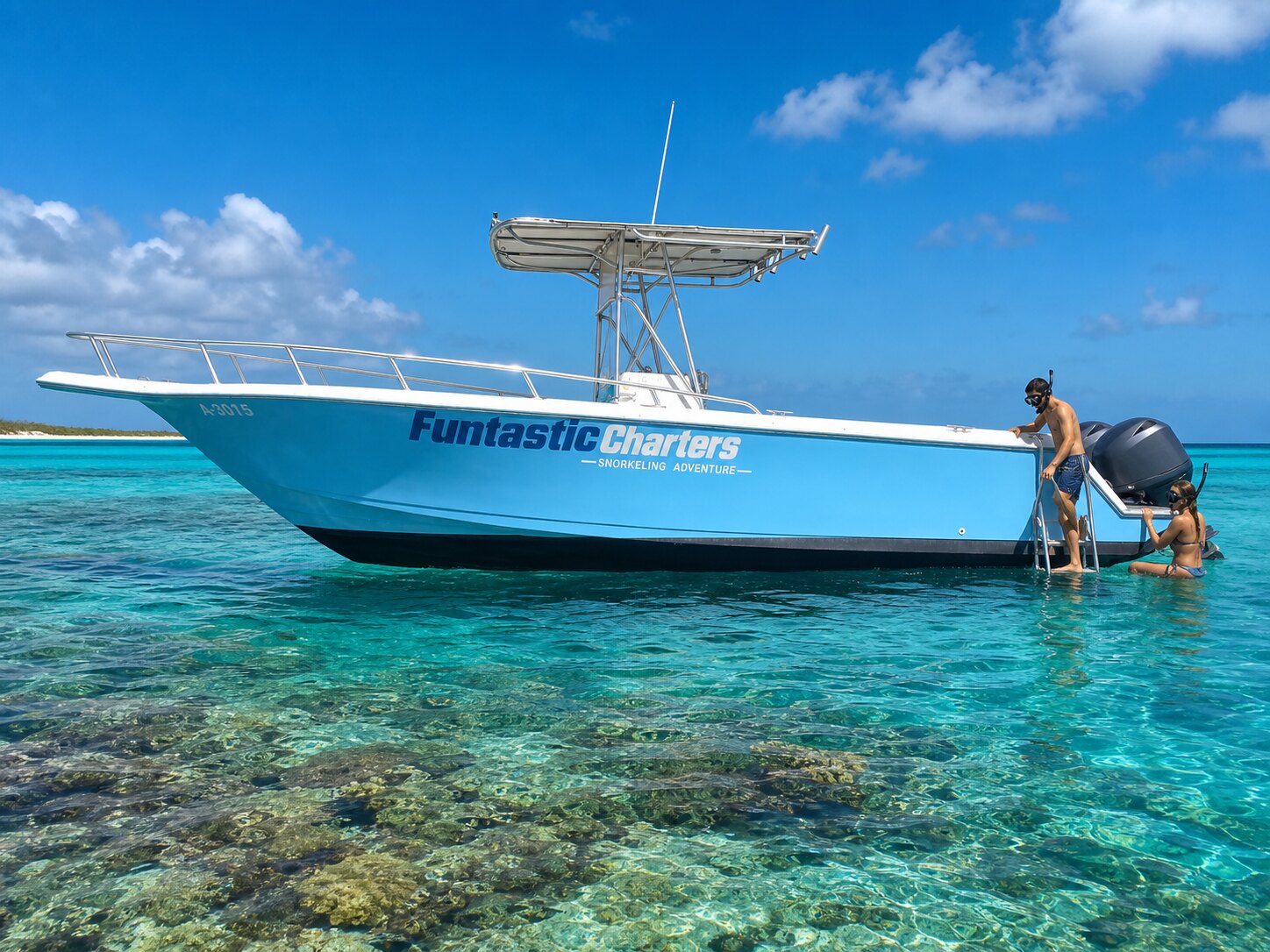 Vibrant Aruba coral reef